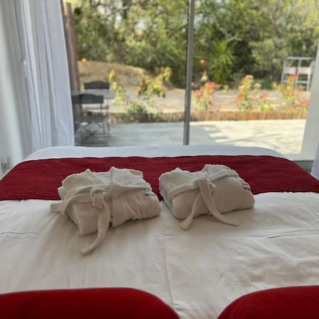 Domaine Pedra Llampada Gite Cerise Villelongue-dels-Monts Dış mekan fotoğraf