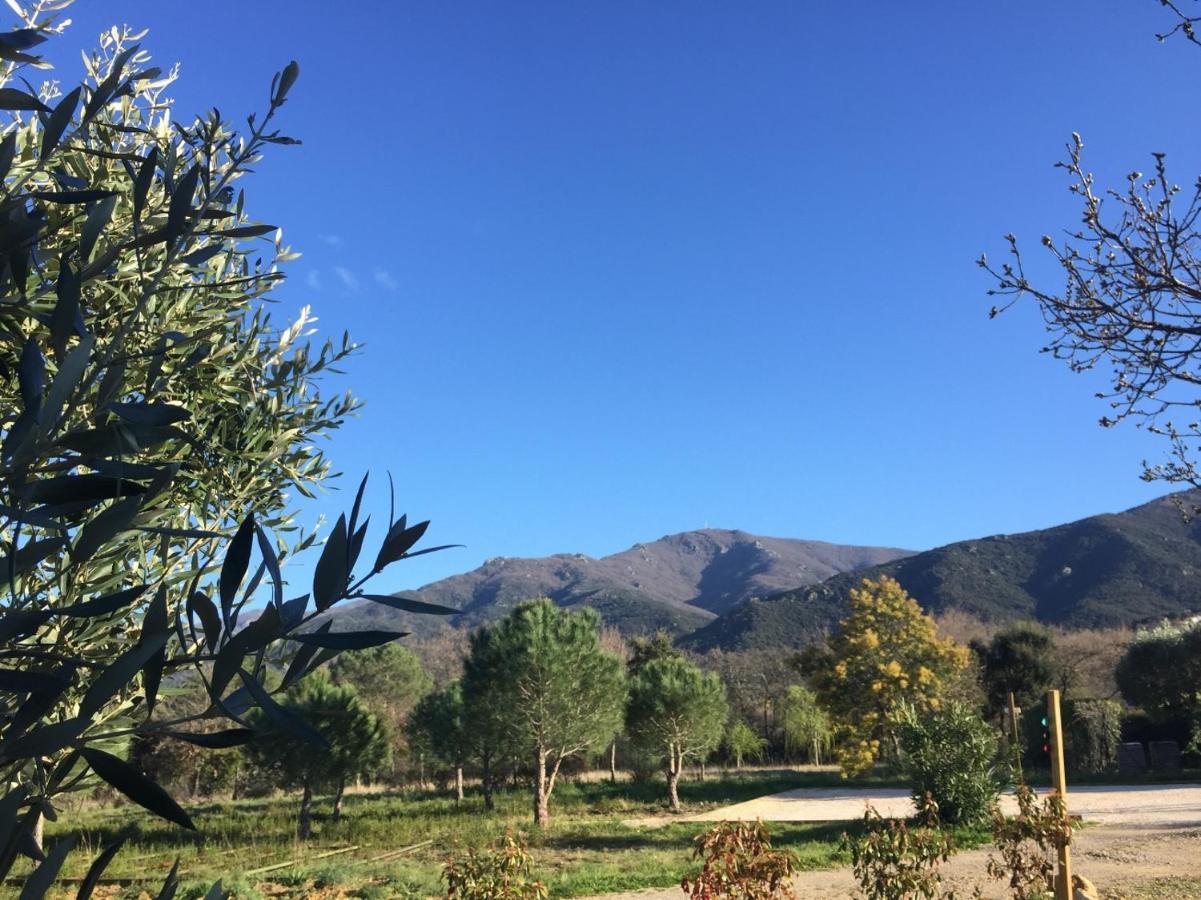 Domaine Pedra Llampada Gite Cerise Villelongue-dels-Monts Dış mekan fotoğraf